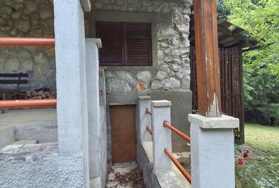 Casă cu 4 camere în Văliug