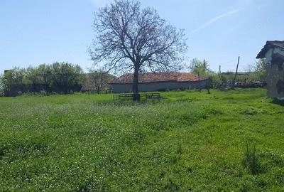 Teren de 5000 mp, în Ceamurlia de Sus