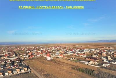Teren Construcții intravilan de 541 mp, în Tărlungeni - 2