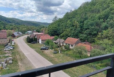 Apartament cu 2 camere decomandat în Sasca Montană