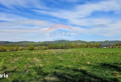 Teren de 10000 mp, în Vânători-Neamț - 12