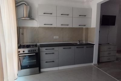 Apartament cu 2 camere semidecomandat, mobilat în Popas Păcurari - 3