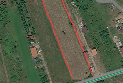 Teren de 6400 mp, în Bârsău - 3