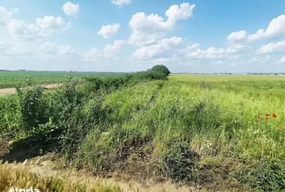 Teren de 511 mp, în Sântandrei