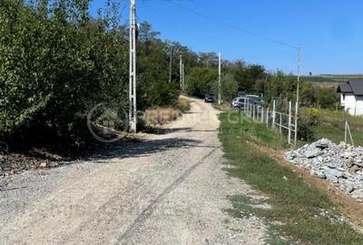 Teren Construcții intravilan de 477 mp, în Aroneanu - 3