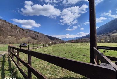 Teren de 2500 mp, în Plaiul Foii - 9