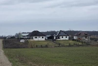Teren de 10000 mp, în Bălteni - 6