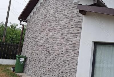 Casă cu 3 camere în Sânmihaiu de Câmpie - 1