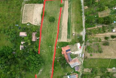 Teren de 2700 mp, în Bălaia - 1
