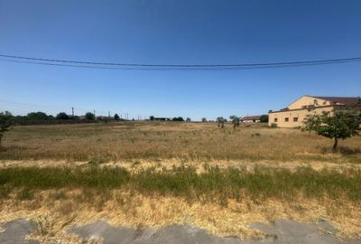 Teren Construcții intravilan de 90000 mp, în Bărăteaz - 8