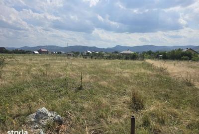 Casă cu 3 camere cu Teren 1000 Mp în Dumbrava
