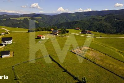 Teren de 1003 mp, în Poplaca - 3