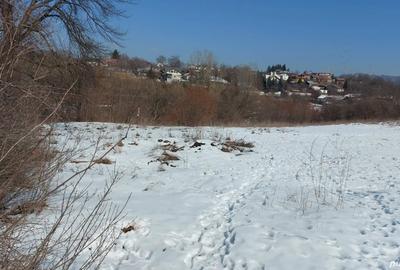 Teren de 4355 mp, în Est