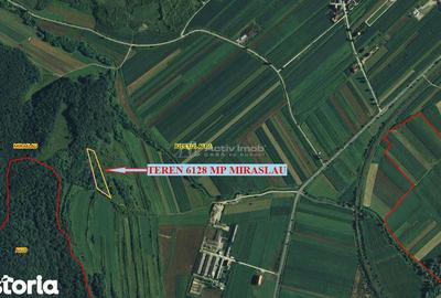 Teren de 6128 mp, în Mirăslău - 8