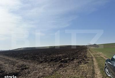 Teren de 15000 mp, în Sântuhalm - 3