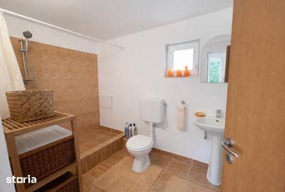 Casă cu 2 camere cu Teren 2052 Mp în Paleu - 8