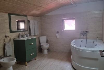 Casă individuală cu 4 camere cu Canalizare în Jilava - 5