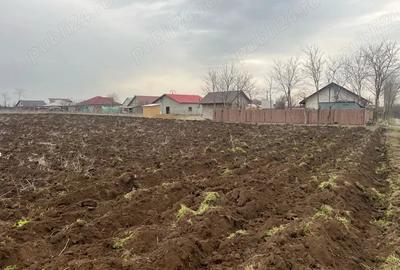 Teren de 2000 mp, în Vasile Alecsandri - 9