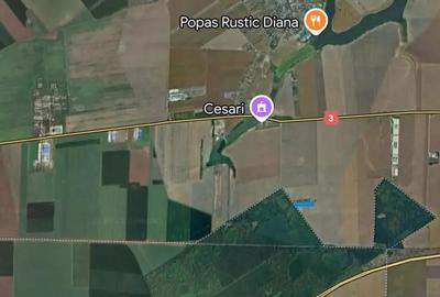 Teren de 15500 mp, în Belciugatele - 5