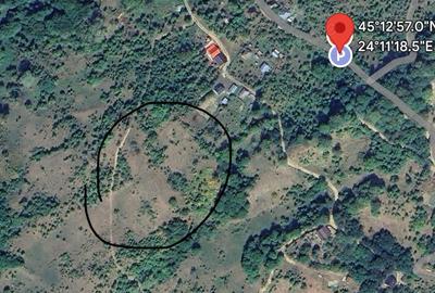 Teren de 4000 mp, în Gurguiata - 3