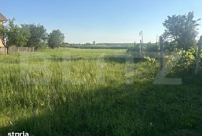 Teren de 1330 mp, în Viile Satu Mare