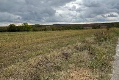 Teren agricol intravilan de 1400 mp, în Comana - 8