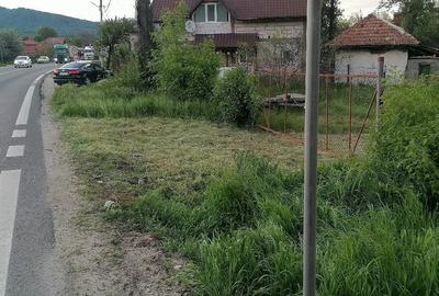Teren de 800 mp, în Bujoreni - 4
