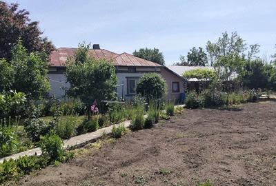 Casă cu Teren 1600 Mp în Heliade Rădulescu - 3