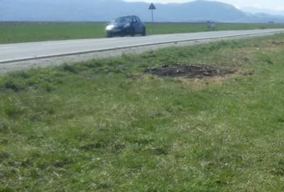 Teren agricol intravilan de 11540 mp, în Tărlungeni - 2