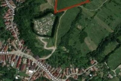 Teren agricol de 3600 mp, în Tărlungeni - 1