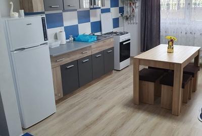 Apartament cu 2 camere semidecomandat în Berceni - 5