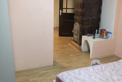 Casă cu Teren 2160 Mp în Zerind