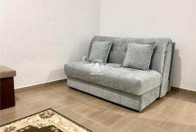 Apartament cu 2 camere în Valea Lupului - 10