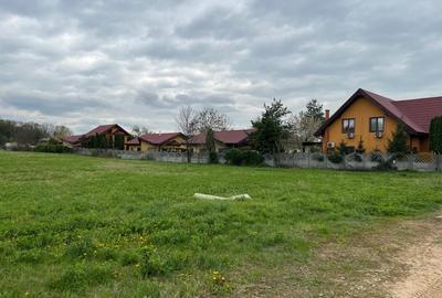 Teren Construcții intravilan de 1500 mp, în Ciolpani - 3