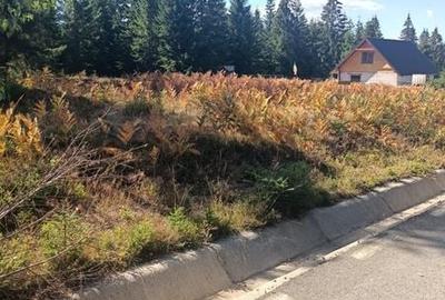 Teren de 2000 mp, în Râșca