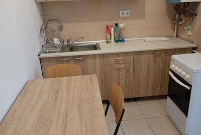 Garsonieră decomandată în Turnișor - 4