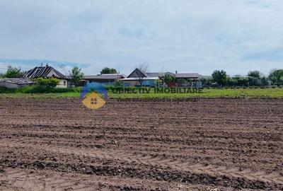 Teren agricol intravilan de 12300 mp, în Cârligi - 9