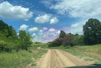 Teren agricol extravilan de 62600 mp, în Albota - 19