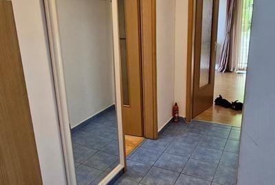 Apartament decomandat în Dosu Bricii