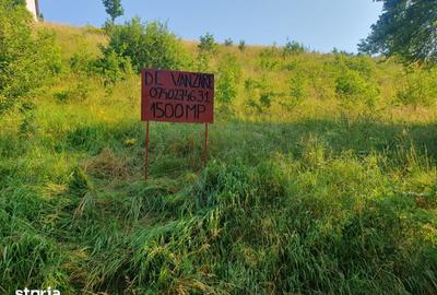 Teren de 1500 mp, în Bățani