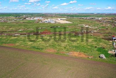 Teren agricol extravilan de 5913 mp, în Ronaț - 3