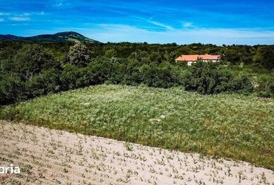 Teren de 2900 mp, în Fârliug - 3