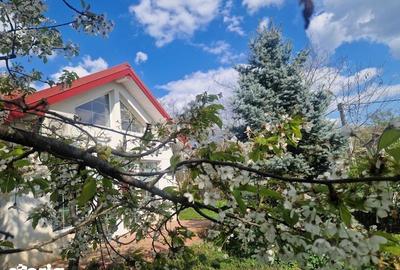 Casă cu 4 camere cu Teren 160 Mp în Bucium
