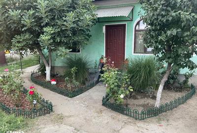 Teren de 2094 mp, în Ostroveni - 7