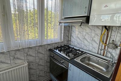 Apartament cu 2 camere decomandat în Rovine - 9