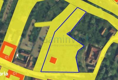 Casă cu 5 camere cu Teren 4564 Mp în Curățele - 7