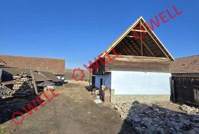 Casă cu Teren 1026 Mp în Brăduț - 5