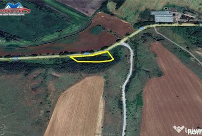 Teren de 2926 mp, în Nufăru