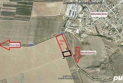 Teren de 1800 mp, în Mahmudia