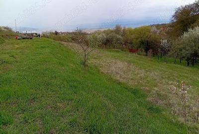 Teren de 950 mp, în Central - 6